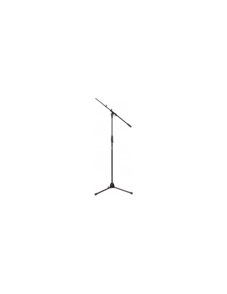 RSM198 | Asta microfonica