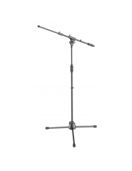 DHPMS50 | Asta microfonica 