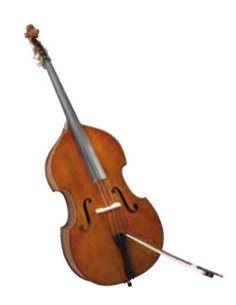 500800 | Contrabbasso acustico