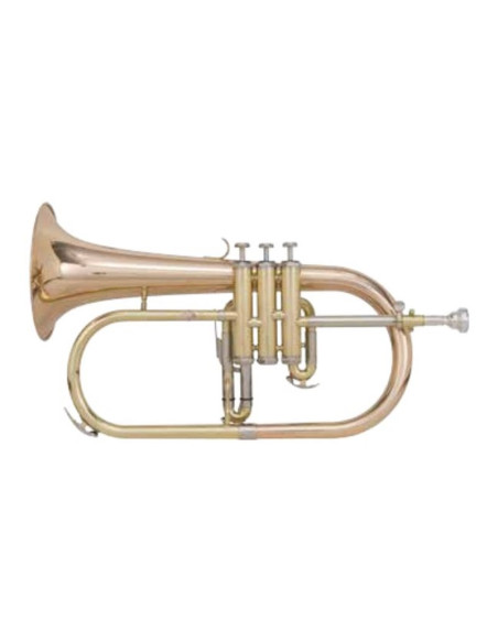 F500 | Flicorno soprano