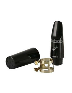 6* |  Bocchino sax alto